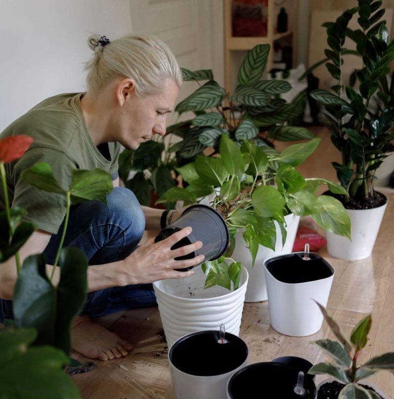 Photo of a person potting plants to represent religious trauma recovery using ACT therapy